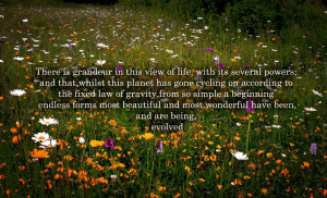 Charles Darwin Quote 2, A picture with a quote by Charles Darwin about ...