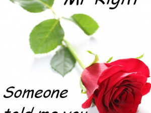 Funny quotes about love mr right » Funny quotes about love mr right