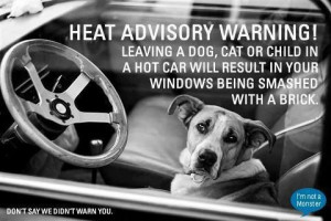 Leave your animals at home!!