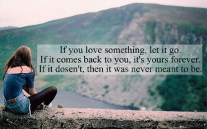 If you love something let it go If it comes back to you,