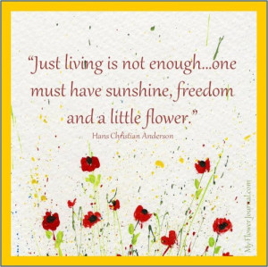 ... One Must Have Sunshine, Freedom And A Little Flower - Flower Quote