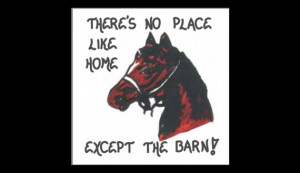 Horse Magnet - Quote, equine lovers, mare, barn, stable, equestrians ...