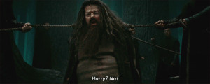 harry potter ** q 1000 hp hagrid hpedit one of the most heartbreaking ...
