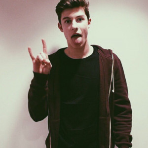 shawn mendes one shot