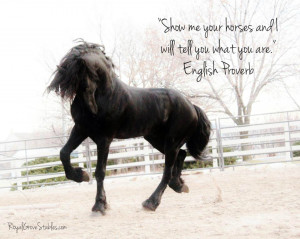 Horse Quotes Inspirational