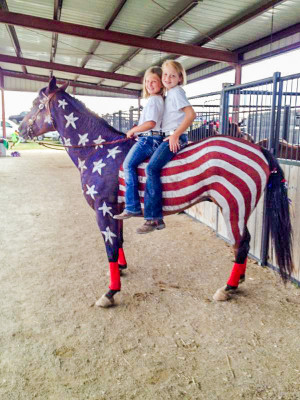 Meet Willy the Red, White, and Blue patriotic horse