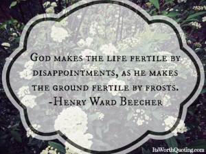 ... : disappointment quotes, quote, quotes, flower quote and god quotes
