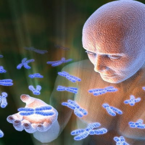 Human genome: The first synthetic species