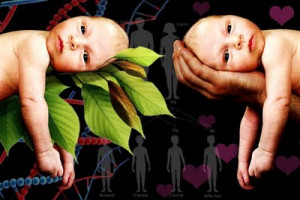 HUMAN BEHAVIOUR: NATURE OR NURTURE?
