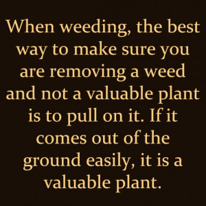 Gardening Quotes - Plants Vs. Weeds