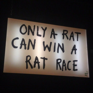 Only a rat can win a rat race.