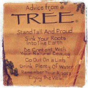 Don't be afraid to go out on a limb. It's where all the fruit is ...