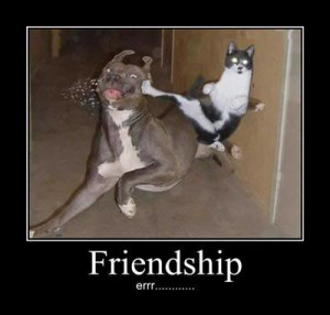 Funny Friendship Day Wallpapers, Funny Friends Pictures