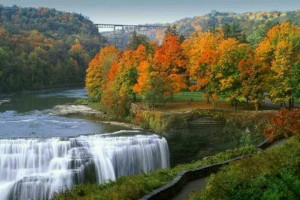 Pinned by Krysta Hayes