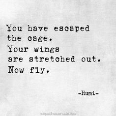 ... quotes wings blackbird quotes flying quotes poetry quotes imagination