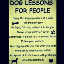 Friendship Love and Loyalty Quotes