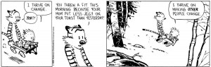 Calvin and Hobbes by Bill Watterson!