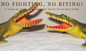 Katherine from over at No Fighting, No Biting shares some thoughts on ...