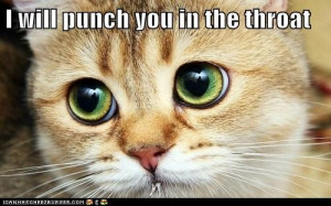 Okay, may there are.