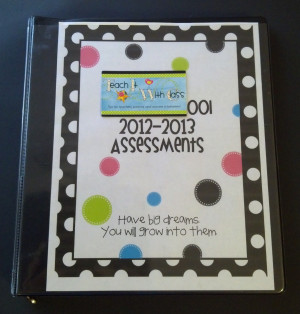 What's in an assessment binder? {freebie}