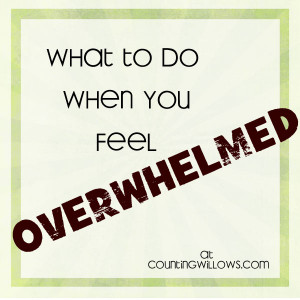 Overwhelmed With What...
