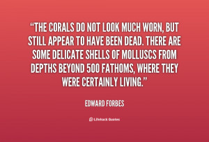 The corals do not look much worn, but still appear to have been dead ...