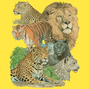 ... _black_panther_leopard_cheetah_jaguar_snow_leopard_yellow_bkgd.gif