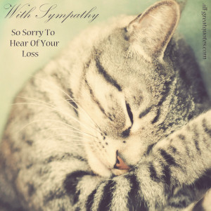 ... So Sorry To Hear Of Your Loss - Sympathy Card Messages - Pet Loss