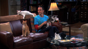 Sheldon with his pet cats Zazzles, Robert Oppenheimer, Enrico Fermi ...