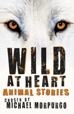 Wild At Heart Book Quotes Wild at heart look inside