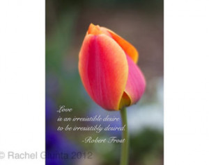 ... card: Romantic card with pink tulip image and quote from Robert Frost