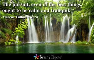 The pursuit, even of the best things, ought to be calm and tranquil.