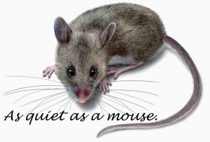 as quiet as a mouse
