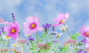 18 Quotes About Being Yourself