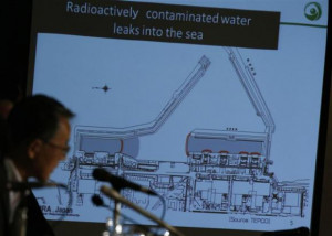 ... Power Co (TEPCO)'s tsunami-crippled Fukushima Daiichi nuclear power