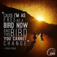 Pinned by Rae McLaughlin