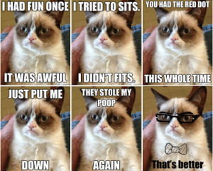 Grumpy Cat feels better