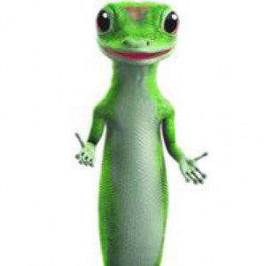 Geico Gecko (GeckoGeico) on Twitter