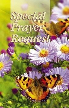 Special Prayer Request Pew Cards