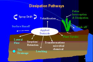 Photolysis Diagram