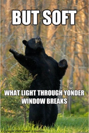 But Soft – What light through yonder window breaks – Bear