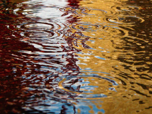 Rain-puddle-300x225 in Rain puddle and uncategorized