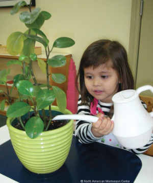 ... montessori classroom parent observer girl watering helpful tips plants