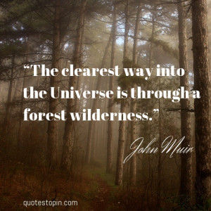 John Muir #Quotes #Quote : “The clearest way into the Universe is ...