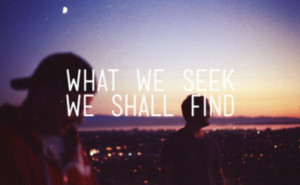 seek & find