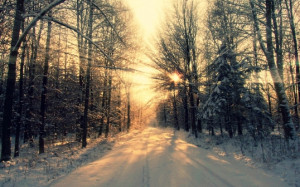 Winter-the-healing-sun-of-for-x-widescreen-1667328