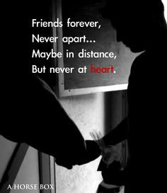 Horse quote, inspirational quotation, horse photography with quote ...