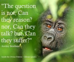 Boopmarisol Follow over 2 years ago