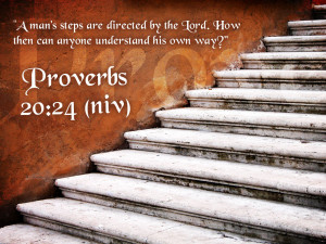 Proverbs 20:24 – Godly Directions Papel de Parede Imagem