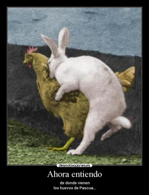 carteles chistes pascua animales gallinas pollos conejos naturaleza ...